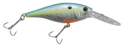 berkley-flicker-shad-pro-slick-ebay